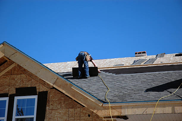 Roof Gutter Cleaning in Rivanna, VA