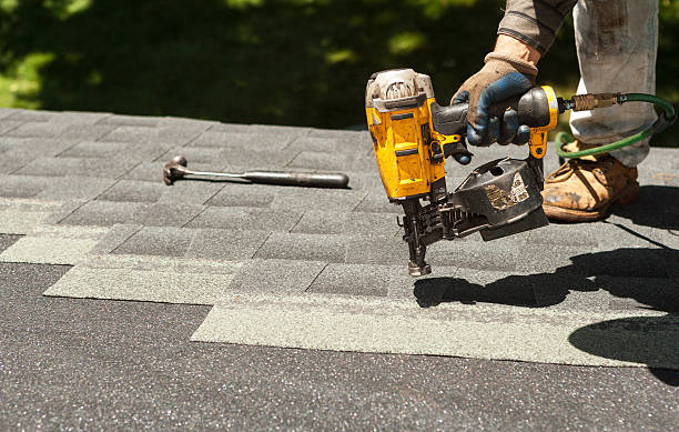 Best Roof Gutter Cleaning  in Rinna, VA